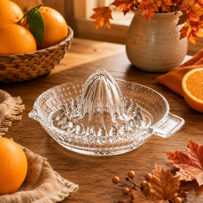 PRESSE AGRUMES | MANUEL CLASSIQUE EN VERRE GARDE PEPINS