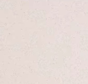 image de présentation de la couleur granit clair